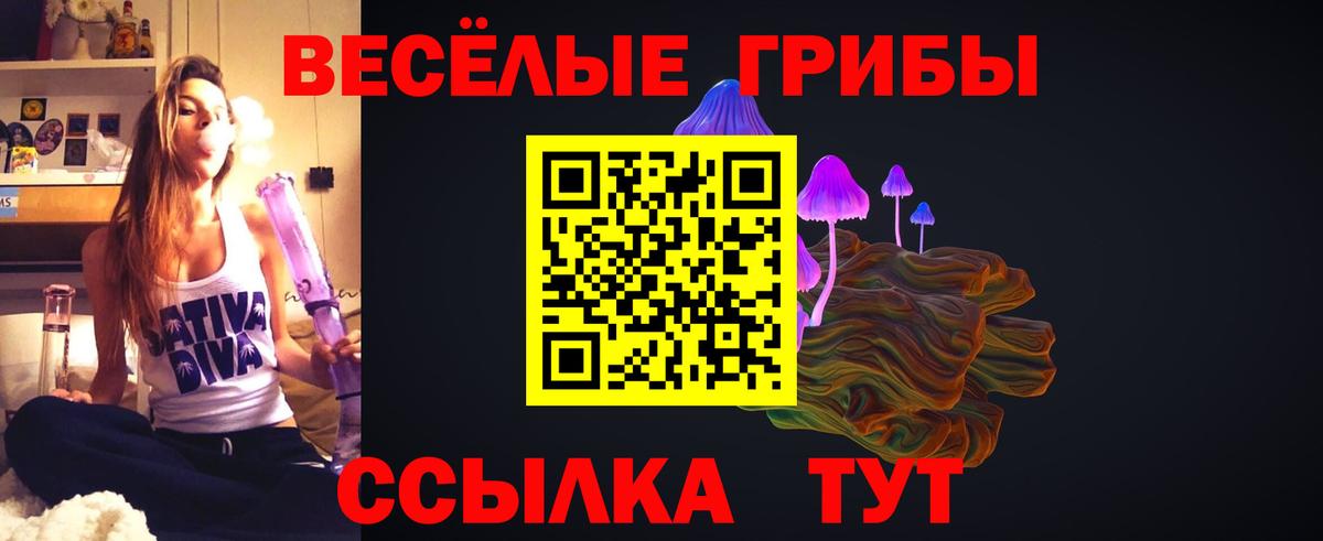 Псилоцибиновые грибы мухоморы Сердобск